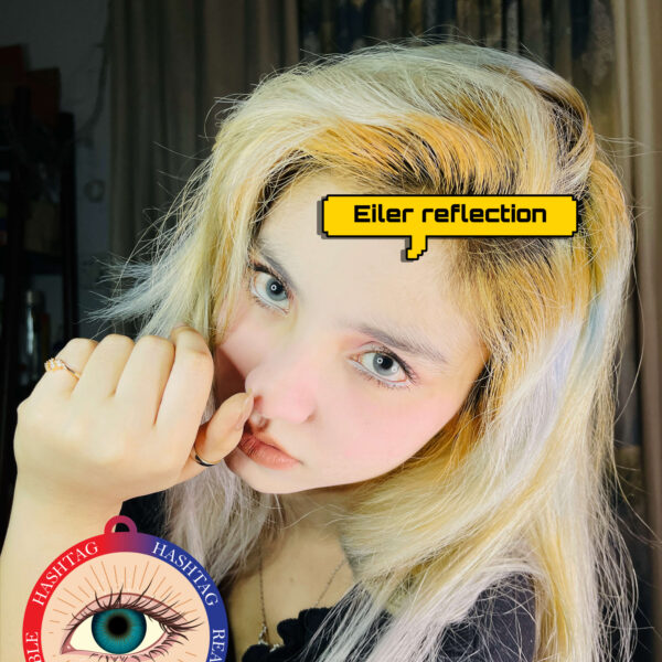 Eiler Reflection